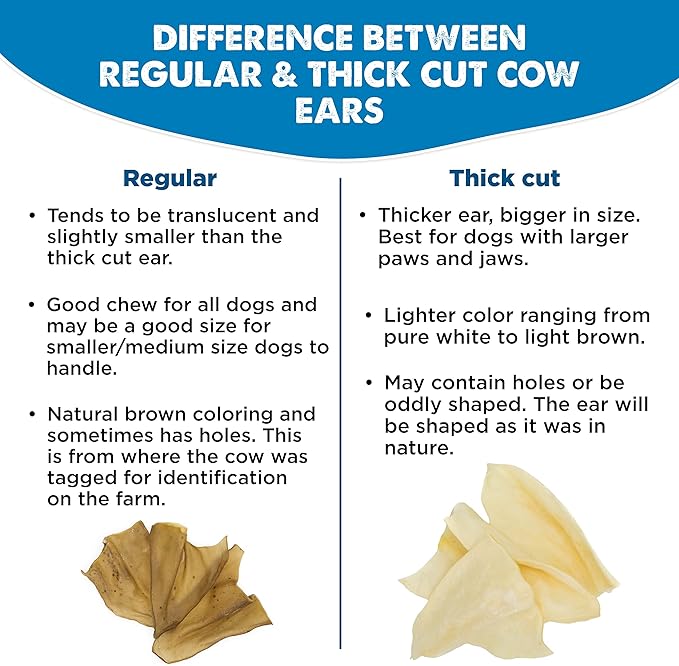 Best Bully Sticks All-Natural Cow Ears for Dogs, 15 Pack - High Protein, Easily digestible Dog Chew Treats - Single Ingredient Grass-Fed Beef