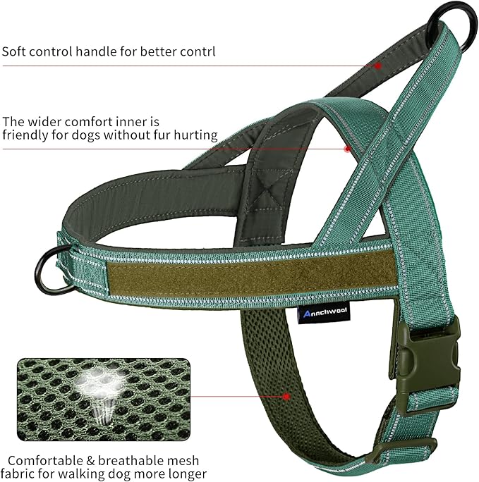 Annchwool No Pull Dog Harness with Padded Handle+5 Ft Leash,Reflective Strip Escape Proof and Quick Fit to Adjust Dog Harness,Easy for Training Walking for Small & Medium and Large Dog(Green-Set,M)