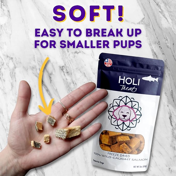 HOLI Freeze Dried Salmon Dog Treats - with Omega 3 and 6 Fish Oil - All Natural Dog Treats - Human Grade - Wild Caught Salmon - Made in USA - Grain Free - Diabetic Friendly