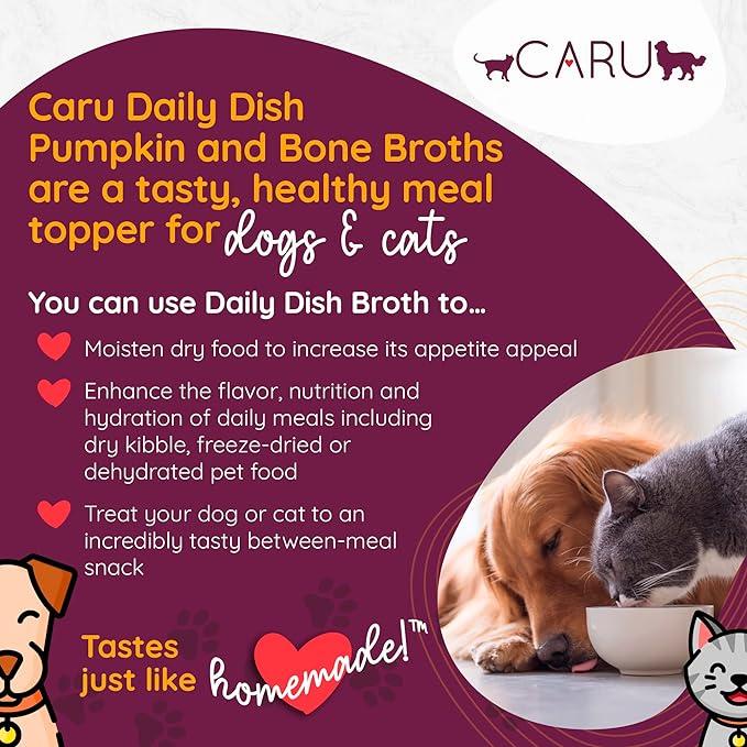 Caru Daily Dish Broth for Dogs & Cats - Pumpkin - Pack of 12
