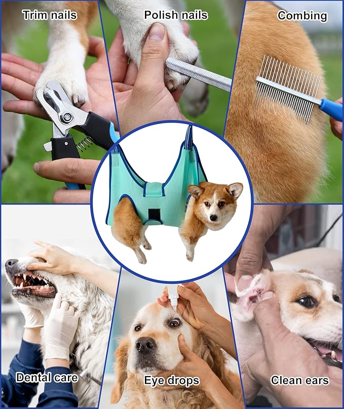 Dog Grooming Hammock 2023 New Edition, Dog Hanging Harness Holder for Nail Clipping, Dog Nail Trimming Hammock with Wide Strap, Dog Grooming Sling for Claw Care (XX-Large 65 LB Max/Turquoise)