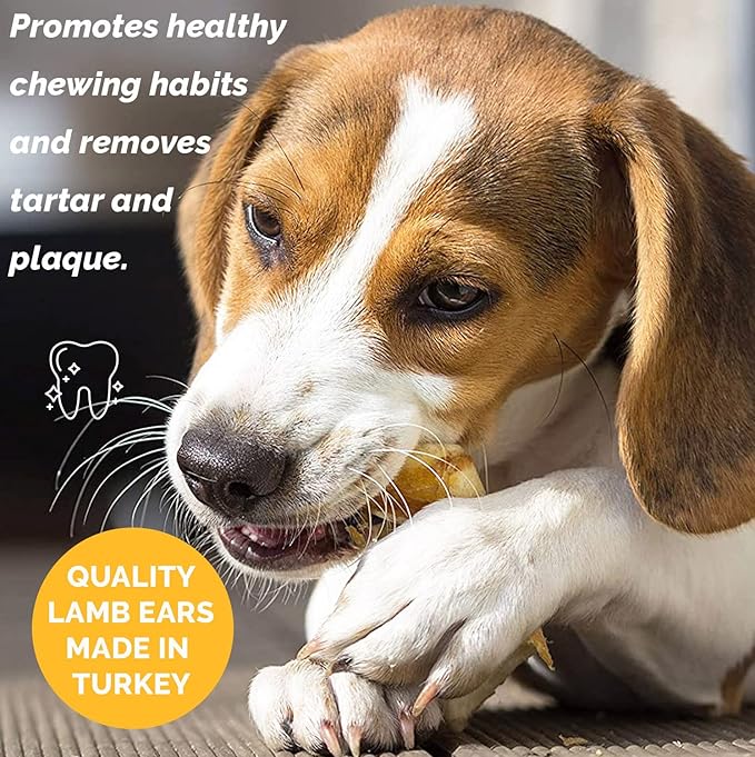 Lamb Ear Dog Chews Treat - from Free Range Lambs | All Natural Premium Dog Treats for Your Dog (10 Count)