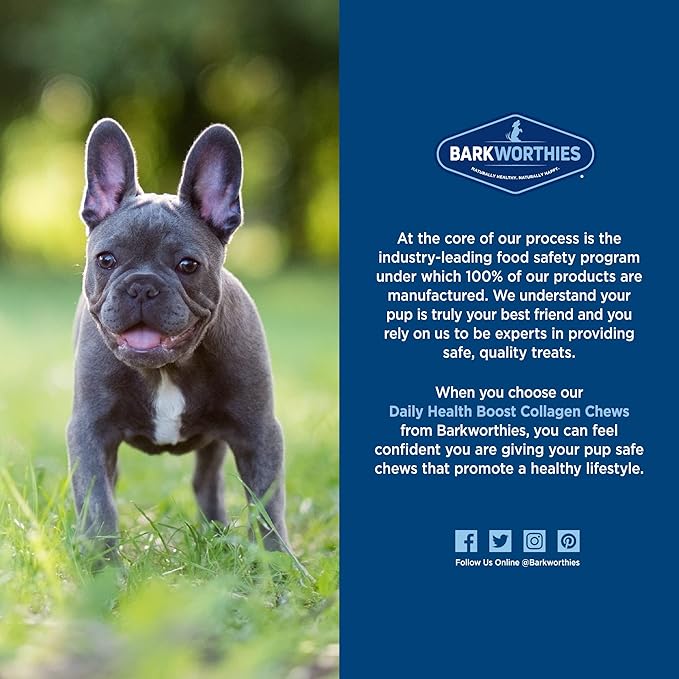 Barkworthies Plain Collagen Stick Dog Treats, 6-Inch, 8-Count