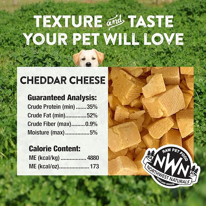 Northwest Naturals Raw Rewards Freeze-Dried Cheddar Cheese Treats for Dogs and Cats - Bite-Sized Pieces - Healthy, 1 Ingredient, Human Grade Pet Food, Natural - 6 Oz (Pack of 3)