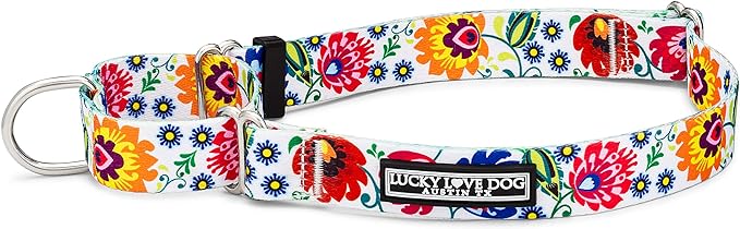 Lucky Love Dog Martingale Dog Collar - Adjustable, No-Slip, Durable, & Soft Webbing Dog Collar for Male and Female Dogs Ideal for Training & Walking - Stylish Ladybird Pattern, Small Size