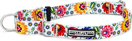 Lucky Love Dog Martingale Dog Collar - Adjustable, No-Slip, Durable, & Soft Webbing Dog Collar for Male and Female Dogs Ideal for Training & Walking - Stylish Ladybird Pattern, Large Size