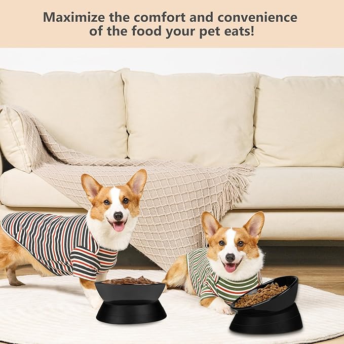 Bulldog Bowl Anti-Slip Dog Cat Dish Detachable Ceramic Dog Bowl Pet Sterile Tilted Pet Feeder Slope Base (Black Ceramic, 2 Cup)