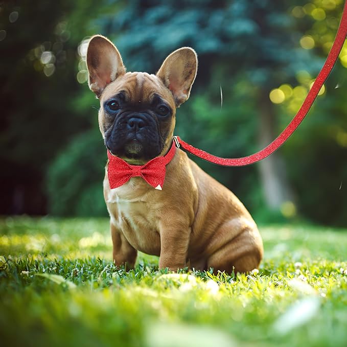 Bling Bow Tie Dog Collar and Leash Set, Red Christmas Dog Collar with Bow and 5ft Leash for Small Medium Dogs, Cute Walking Boy and Girl Dog Collar Set (Neck fit 11-16’’)