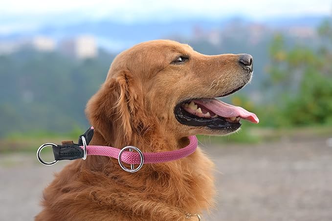 Braided Collar, Pro Training Dog Collar, No Pull Round Collar, Slip Collar with Slidable Stop Ring - Ideal for Medium/Large Dogs (M+(1/2") - 18" Long, Pink)
