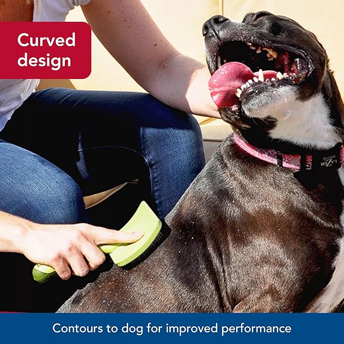 Coastal Pet Safari Curved Firm Slicker Brush - For Dog Grooming and Detangling All Hair Types - 6.5" x 3.06"