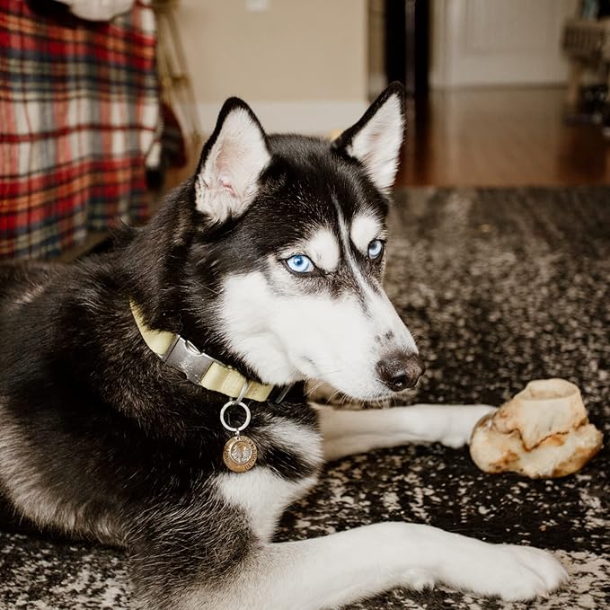 Best Bully Sticks All Natural Beef Knuckle Bones for Dogs - 5 Pack - Long Lasting Dog Bones for Aggressive Chewers