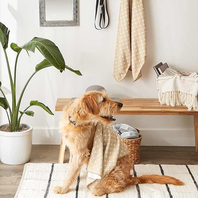 Bone Dry Pet Robe Collection, Trellis Paw Print, Absorbent Microfiber Bath Robe with Adjustable Closure for Dogs & Cats, Medium, Hunter Green