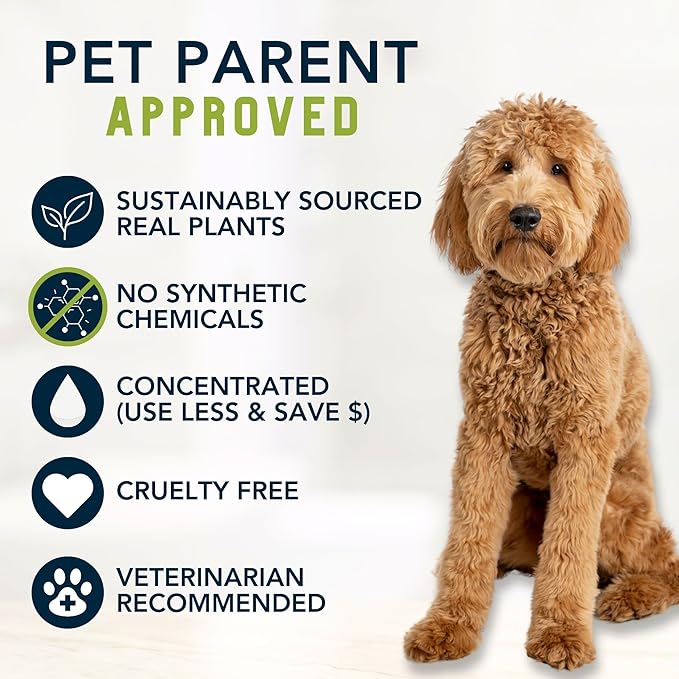 Organic Dog Shampoo, Dry, Itchy Skin and Coat Relief, Coconut Oil, Lemongrass Hemp Dog Shampoo, Puppy Shampoo 16 oz