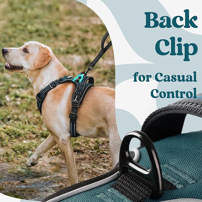 rabbitgoo Dog Harness for Large, No Pull Pet Harness with 3 Buckles, Adjustable Soft Padded Dog Vest with Instant Control Handle, Easy Walking Reflective Pet Vest for Extra Large Dogs, Blue Coral, XL