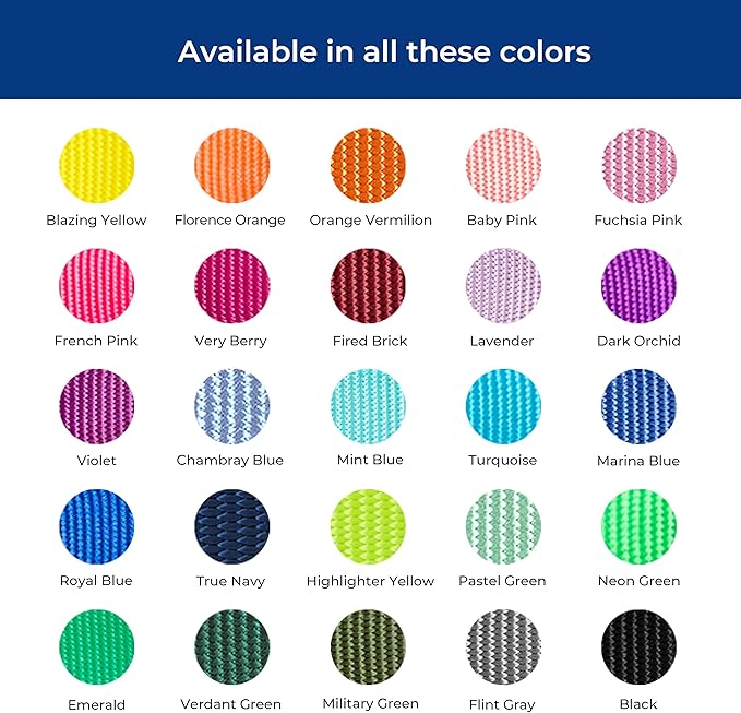 Blueberry Pet Essentials Martingale Safety Training Dog Collar, Highlighter Yellow, Small, Heavy Duty Nylon Adjustable Collars for Dogs