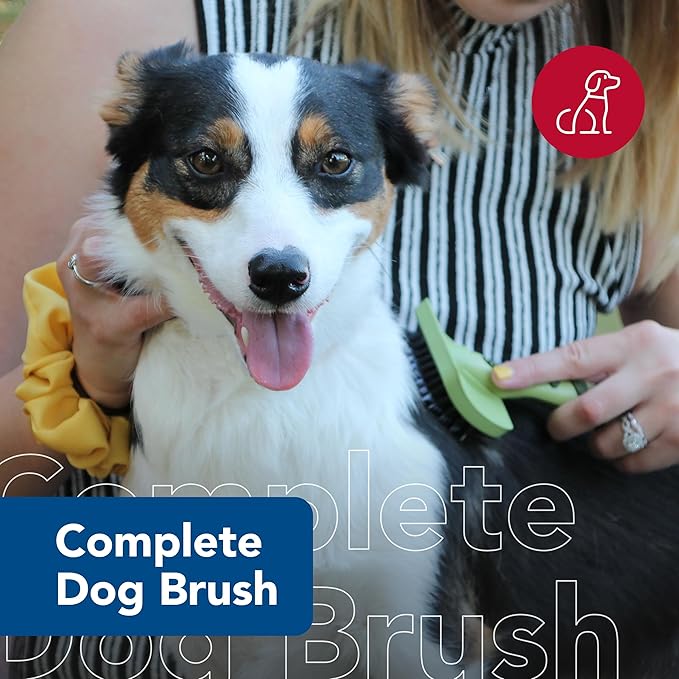 Coastal Pet Safari Complete Dog Brush - 2-in-1 Design Dog Slicker Brush with Grooming Bristles - Detangling & Dematting Dog Brush - One Size