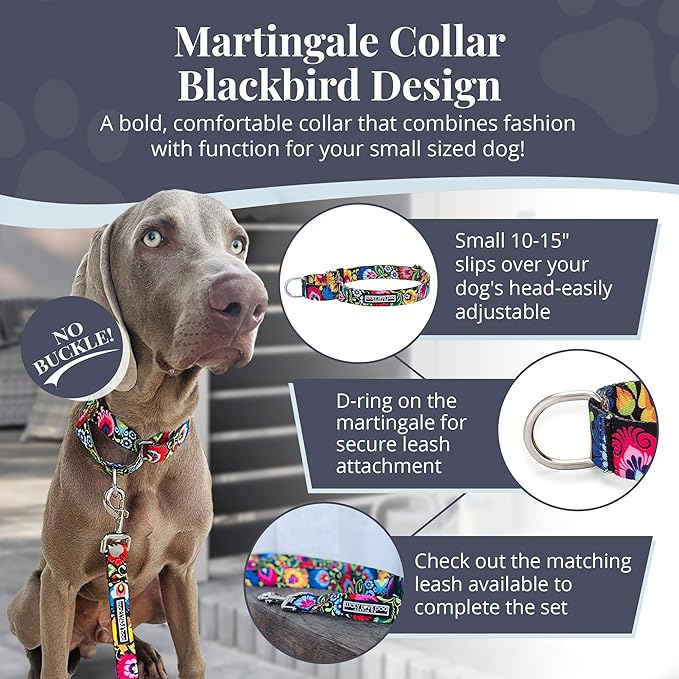 Lucky Love Dog Martingale Dog Collar - Adjustable, No-Slip, Durable, & Soft Webbing Dog Collar for Male and Female Dogs Ideal for Training & Walking - Stylish Blackbird Pattern, Small Size