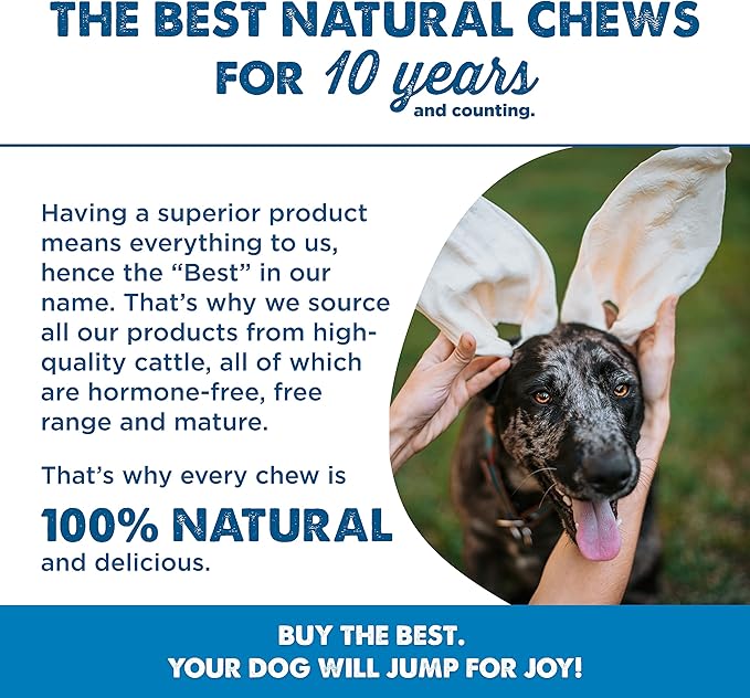 Best Bully Sticks All-Natural Thick-Cut Cow Ears for Small, Medium and Large Dogs - 100% Natural Free-Range Grass-Fed Beef Single Ingredient High Protein, Easily digestible Dog Chew Treats - 12 Pack