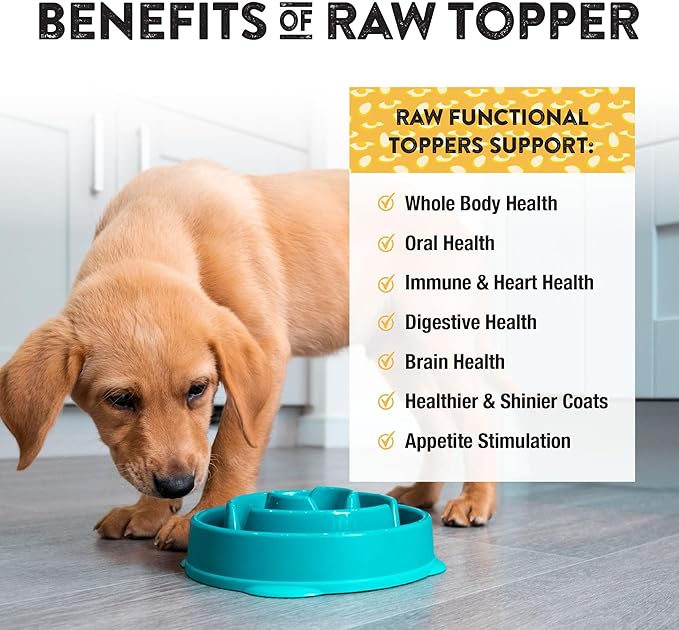 Northwest Naturals Freeze-Dried Whole Chicken Egg Functional Topper - for Dogs & Cats - Healthy, 1 Ingredient, Human Grade Pet Food, All Natural - 4 Oz (Pack of 2)