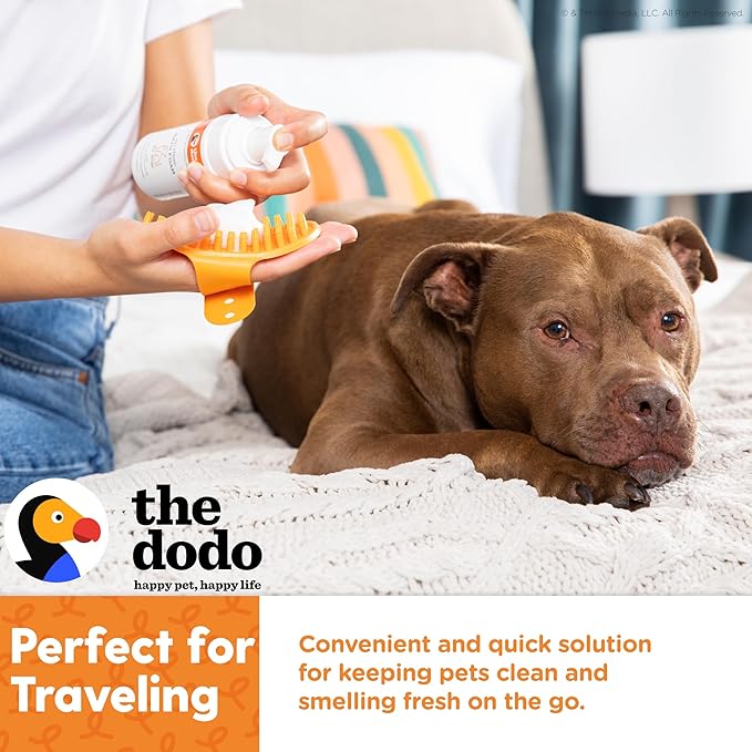 The Dodo No Rinse Bath Foam for Dogs, Tropical Mango with Papaya and Coconut Oil, 8 fl oz; Waterless Dog Grooming Option; Vegan, Cruelty-Free, No DEA, MEA, SLS or Parabens