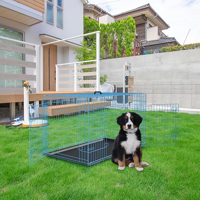 PayLessHere Large Dog Crate Kennel for Medium Large Dogs 30 inches Metal Dog Cage Double-Door Folding Travel Indoor Outdoor Puppy Playpen with Divider and Handle Plastic Tray,Blue
