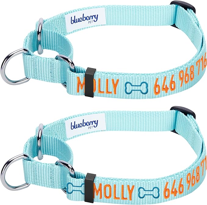 Blueberry Pet Essentials Personalized Martingale Safety Training Dog Collar, Mint Blue, Medium, Adjustable Customized ID Collars for Dogs Embroidered with Pet Name & Phone Number