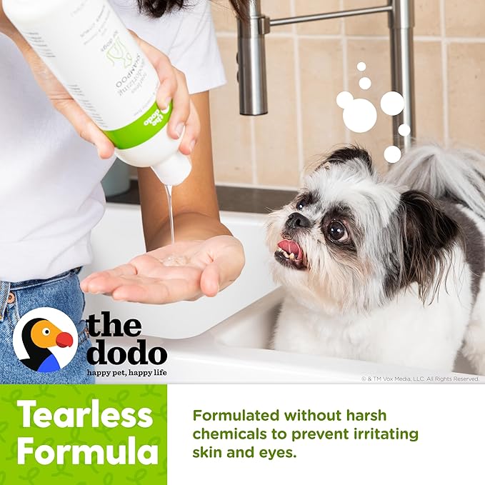The Dodo Tearless Deodorizing Shampoo for Dogs, Summer Citrus with Baking Soda and Charcoal; Dog Shampoo Deodorizer