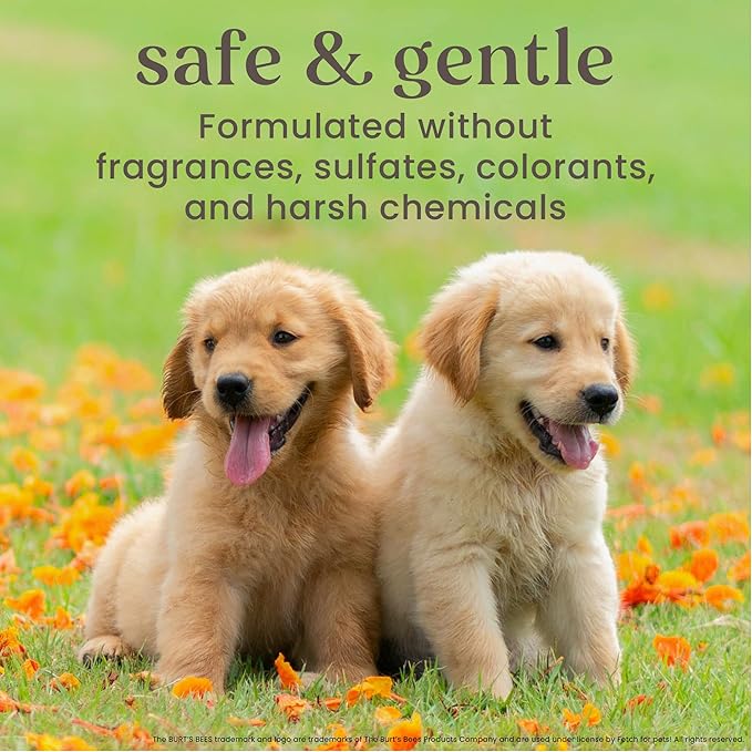 Burt's Bees for Pets Tearless Puppy 2-in-1 Shampoo and Conditioner with Buttermilk and Linseed Oil, 95% Natural Origin Formulas, Shampoo for Puppies - Gentle Puppy Shampoo Tear Free, 16 oz