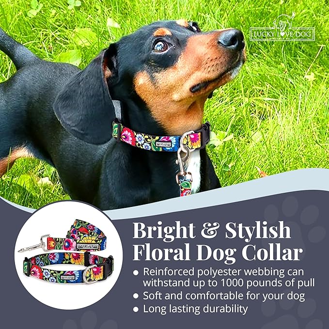 Lucky Love Dog - Easy Click Buckle Dog Collar with Leash Set Combo, Durable & Comfortable Collar for Male & Female Dogs, Pet Collar for Small to Large Dogs, Secure Fit - Blackbird Combo, X-Small