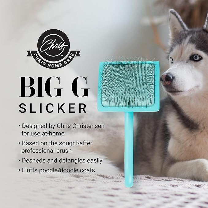 Chris Christensen Big G Dog Slicker Brush for Dogs (Goldendoodles, Labradoodles, Poodles), Groom Like a Professional, Fluff Detangle Style, Saves Time Energy, Teal, Large