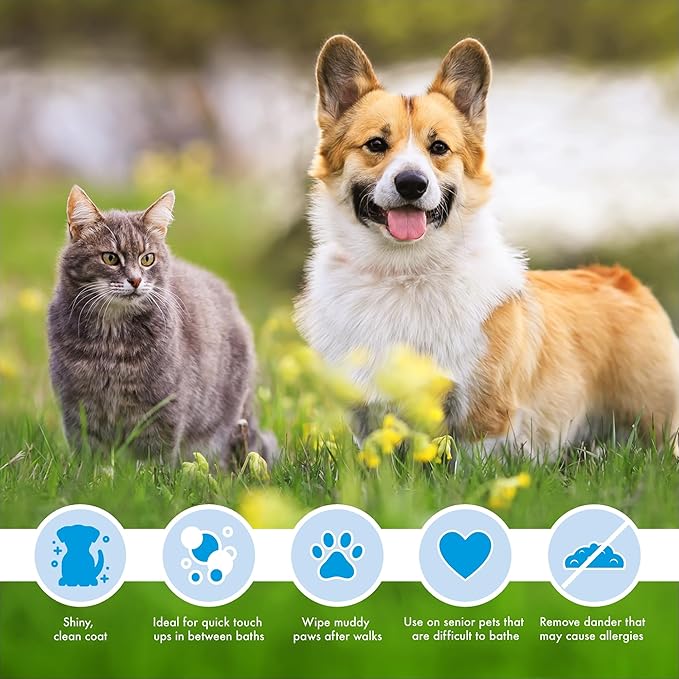 Petkin Mega Valu-Pak Pet Wipes, 125 Wipes - Pet Wipes for Dogs & Cats - for Face, Paws, Ears, Body & Eye Area - Super Convenient Dog Cleaning Wipes