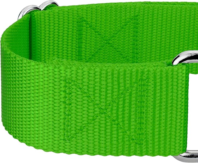 Country Brook Petz 1 1/2 Inch Martingale Heavy Duty Nylon Adjustable Dog Collar for Small, Medium, Large Breeds - Vibrant 17 Color Selection (Hot Lime Green, Medium)
