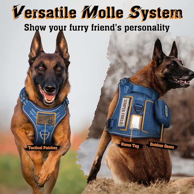 rabbitgoo Dog Harness Medium Sized No Pull, Tactical Service Dog Vest with Molle and Control Handle, Adjustable and Reflective Military Pet Harness for Easy Walking and Training, Blue, M