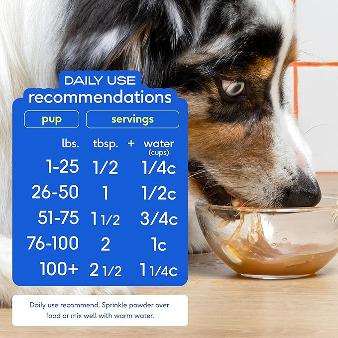 Native Pet Bone Broth for Dogs and Cats –Dog Bone Broth Powder, a Dog Food Topper for Picky Eaters –Cat Broth & Dog Broth - Dog Gravy Topper for Dry Food –Chicken Broth for Dogs & Cats –11.5 oz