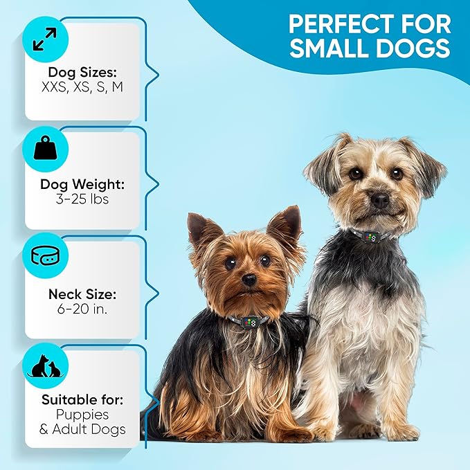 Tiny Bark Collar for Small Dogs 5-15 lbs and Puppies - No Shock Anti Barking Collar - Rechargeable Smart Collar for Dog Training with 7 Sensitivity Levels and 3 Beep&Vibration Modes (Black)