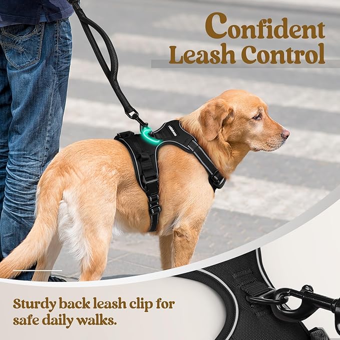 rabbitgoo Dog Harness, No-Pull Pet Harness with 2 Leash Clips, Adjustable Soft Padded Dog Vest, Reflective No-Choke Pet Oxford Vest with Easy Control Handle for Large Dogs, Black, L
