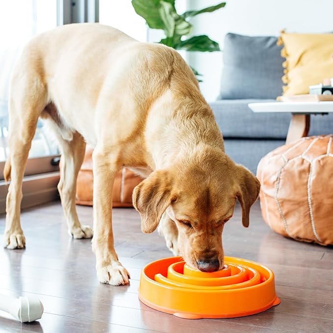Outward Hound Fun Feeder Slo Bowl, Large Slow Feeder Dog Bowl, 4 Cups, Orange