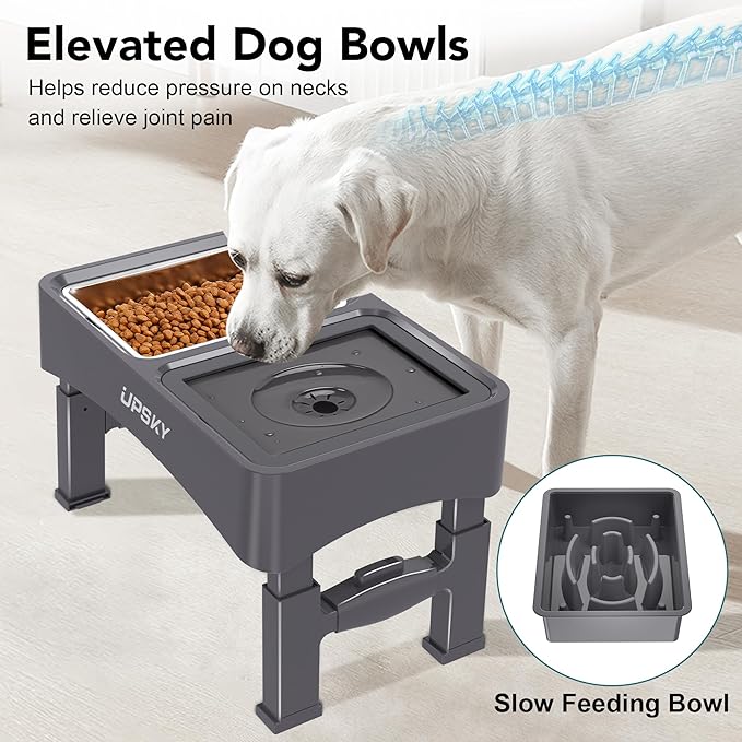 UPSKY Elevated 3-in-1 Dog Bowls: Slow Feeder, Stainless Steel adjustable (4 heights), no-spill, for small/medium dogs (Grey)