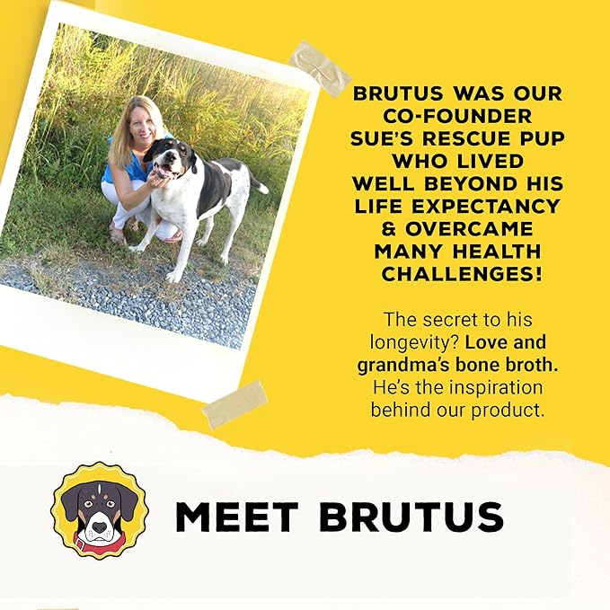 Brutus Bone Broth for Dogs - Bone Broth Powder with Chondroitin Glucosamine & Turmeric - Human Grade Dog Food Toppers for Dry Food & Picky Eaters - 5 Stick (Beef)