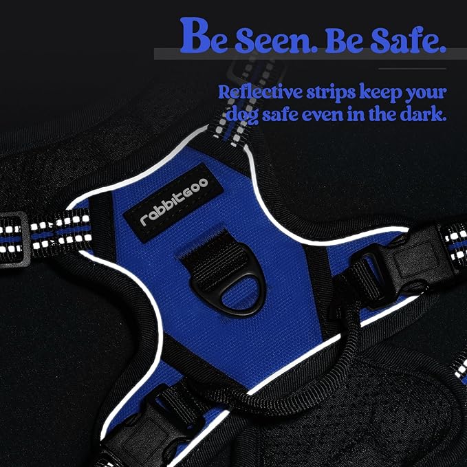 rabbitgoo Dog Harness, No-Pull Pet Harness with 2 Leash Clips, Adjustable Soft Padded Dog Vest, Reflective No-Choke Pet Oxford Vest with Easy Control Handle for Small Dogs, Dazzling Blue,XS