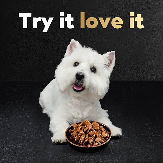 Cesar Filets in Gravy Wet Dog Food Filet Mignon Flavor and Rotisserie Chicken Flavor Variety Pack, 1.76 oz. Mini-Pouches, 20 Pack (Pack of 2)