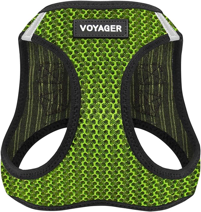 Voyager Step-in Air Dog Harness - All Weather Mesh, Reflective, No Pull Harness for Small, Medium Dogs, Cats - Secure with Hook & Loop Fastener, Buckle, Double D-Rings - Lime Green 2-Tone, S