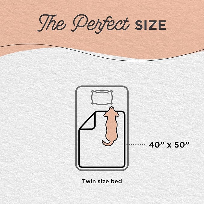 Best Friends by Sheri Calming Lux Dog Blanket, Dark Brown, 40" x 50"