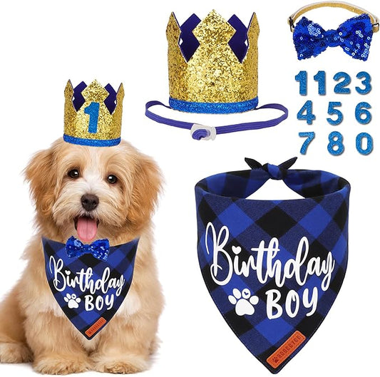 ADOGGYGO Dog Birthday Party Supplies, Blue Plaid Birthday Boy Dog Bandana, Golden Puppy Party Hat with Numbers, Bowtie for Small Puppies (Small)