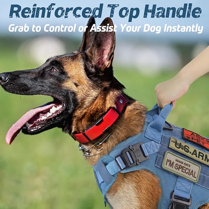 rabbitgoo Tactical Dog Harness for Large Dogs, Heavy Duty Dog Harness with Handle, No-Pull Service Dog Vest Large Breed, Adjustable Military Dog Vest Harness for Training Hunting Walking, Blue, XL