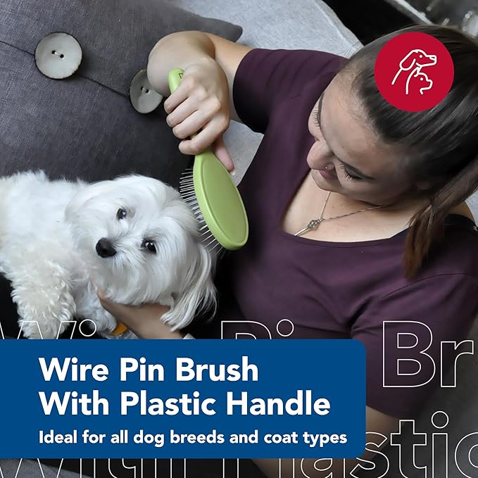 Coastal Pet Safari Wire Pin Brush - No-Slip Plastic Handle for Short and Long Pet Hair - 9.25" x 2.5" Compatible Grooming Tool