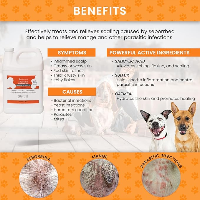 Antiparasitic & Antiseborrheic Dog Shampoo - Sulfur, Salicylic Acid and Oatmeal - Dry, Itchy, Hot Spot, Dermatitis (1 Gal)