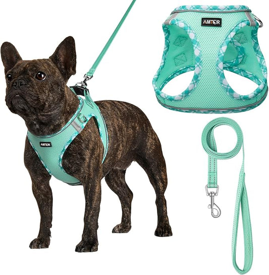AMTOR Small Dog Harness with Leash Set, No Escape Easy Walk Puppy Harnesses for Training Walking, Step-in Reflective Soft Dogs Vest for XS S Medium Extra-Small Large Sized Dog(Green,XXS)