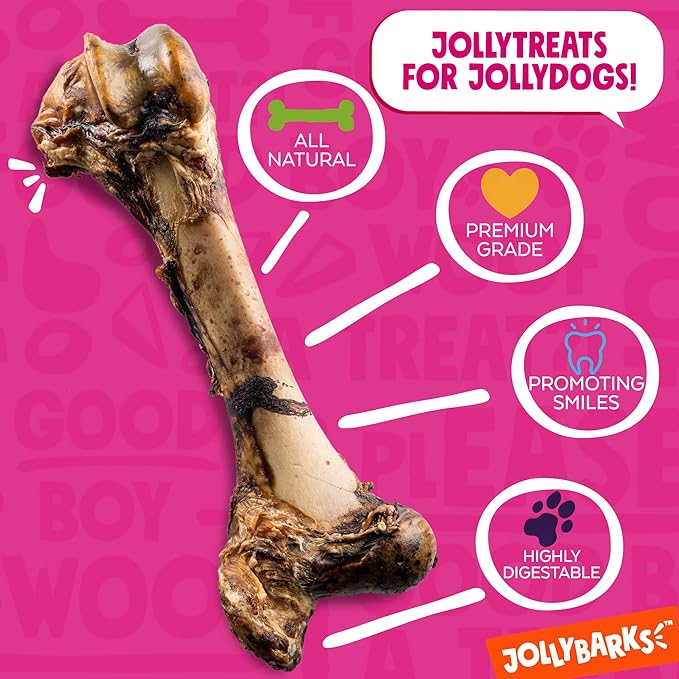 Mammoth Dog Bones for Large Dogs | 16" Long Lasting Dog Bone| Savory Smoked Dog Bones for Aggressive Chewers (1 Pack)