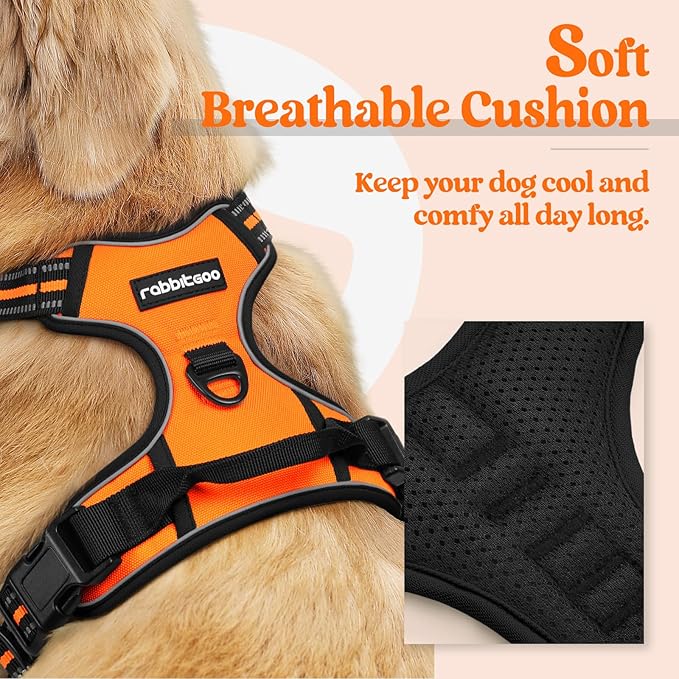 rabbitgoo Dog Harness, No-Pull Pet Harness with 2 Leash Clips, Adjustable Soft Padded Dog Vest, Reflective No-Choke Pet Oxford Vest with Easy Control Handle for Small Dogs,Orange,S